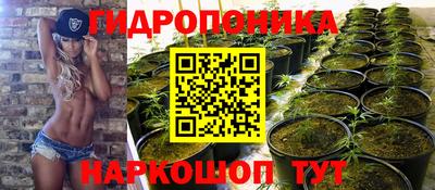 соль ск Краснодар