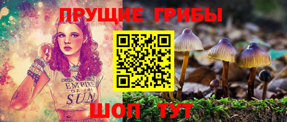Галлюциногенные грибы мицелий  Вход с VPN  Шелехов 