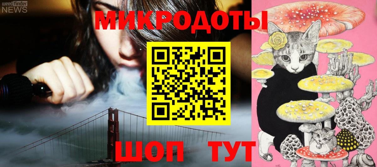 Псилоцибиновые грибы Cubensis Шелехов